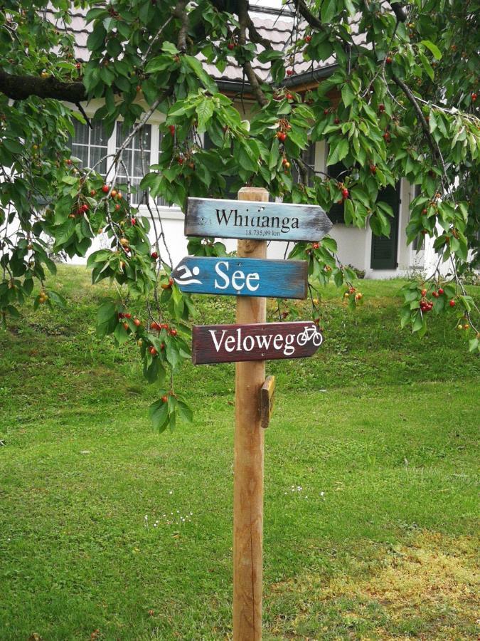 Vinelz B&B Whitianga מראה חיצוני תמונה